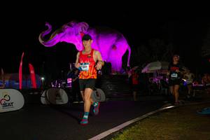 BIB: 
                            <button type="button" onclick="openModal(26544202)" class="btn btn-primary btn-sm float-right btn-popup" data-toggle="modal" data-target=".modal-high-quality">
                        <i class="fas fa-shopping-cart"></i> Add to Cart
                    </button>
                                            <button type="button" onclick="isThisMe(26544202, true)" class="btn btn-success btn-sm float-right btn-popup btn-isme hidden" data-toggle="tooltip" data-placement="bottom" title="นี่คือรูปของคุณใช่ไหม คลิกที่นี่เพื่อเอาเข้าอัลบั้ม">
                        <i class="fas fa-plus"></i> Add to album
                    </button>
                    <button type="button" onclick="isThisMe(26544202, false)" class="btn btn-warning btn-sm float-right btn-popup btn-isnotme hidden">
                        <i class="fas fa-ban"></i> Remove from album
                    </button>